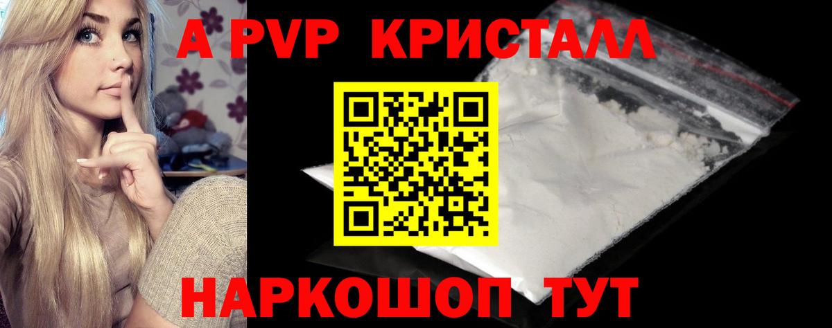 где купить наркотик  Alfa_PVP СК  Вход с VPN  Советск 