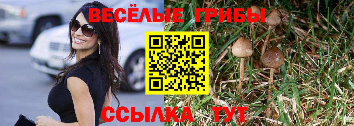 Галлюциногенные грибы Psilocybe  Вход с VPN  Псилоцибиновые грибы GOLDEN TEACHER  Советск 
